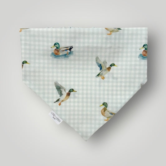 Lucky Duck
