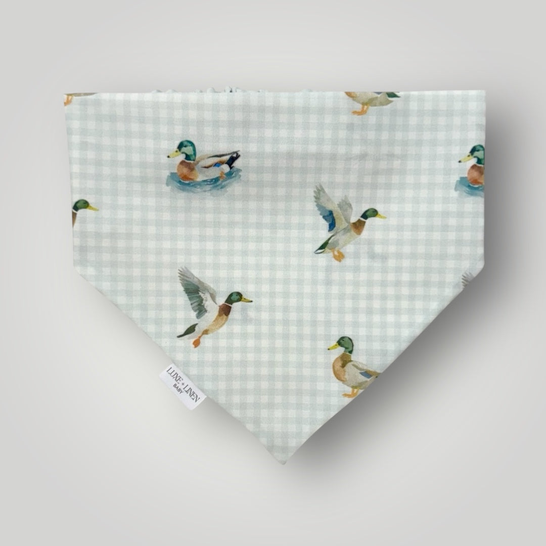 Lucky Duck